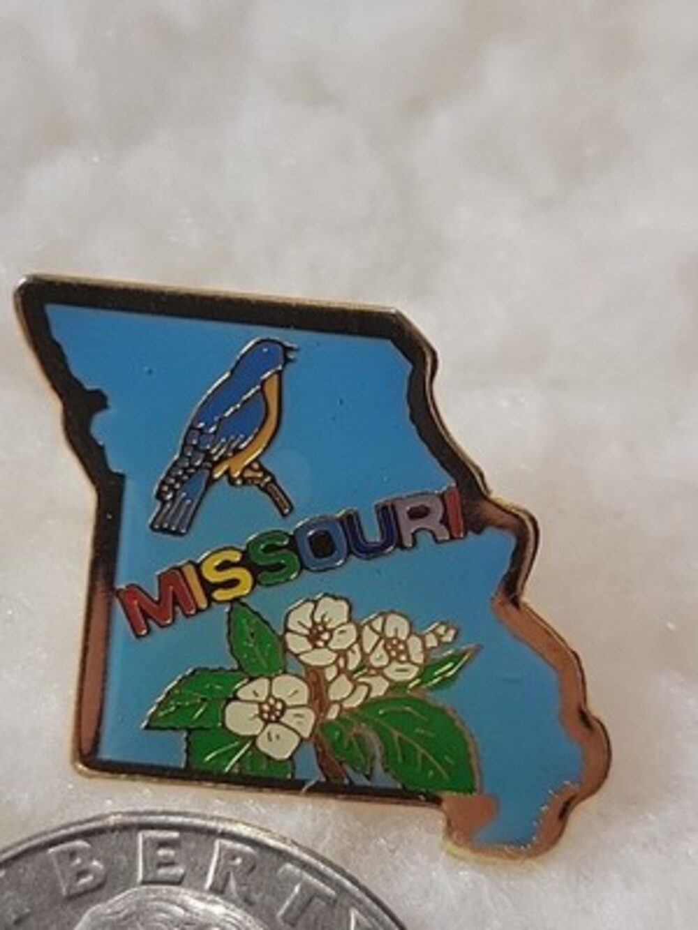 Missouri State Bird Bluebird & Hawthorn Flower Vintage Tack Pin Rainbow